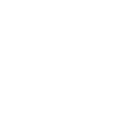 Bank Loan Facility